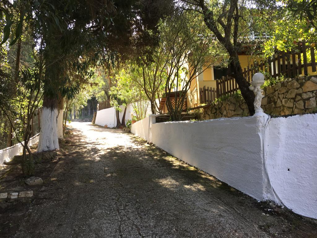 Magdalini * Afión
